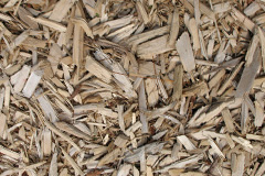 biomass boilers Papworth Everard